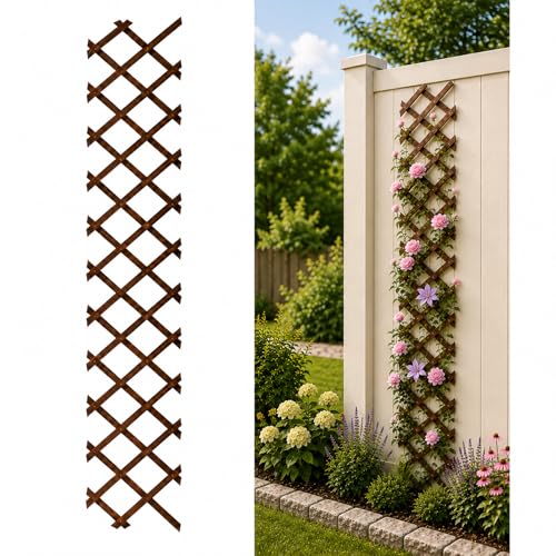 Expandable Garden Trellis, 13"x68" Trellis for Climbing Plants Outdoor 1PCS - color: Brown-1PC, size: 13" x 68"