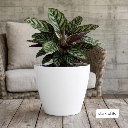 8" Vogue Planter in Stark White - color: Stark White