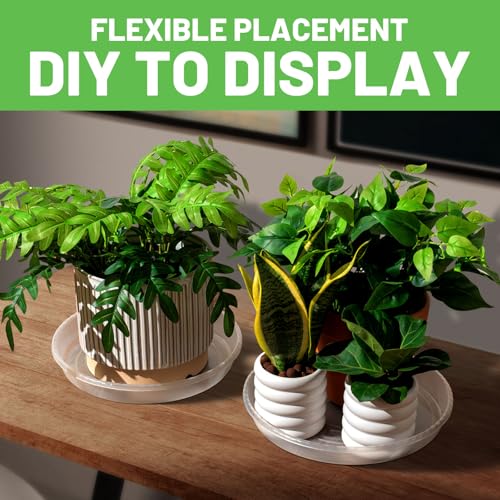 MUDEELA 6-Pack Plastic Plant Saucers Tray for Indoor, 6 Inches, Clear - size: 6" - 6 Pack