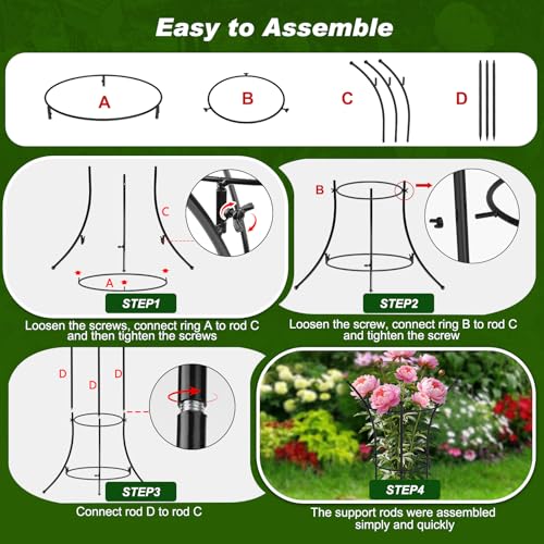 4 Pack Peony Cages and Supports, 12.5"Dx24"H Dual-Ring Metal Plant Supports - color: Black-Metal-4PC