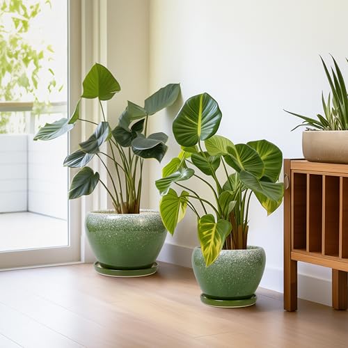 Ceramic Pots for Plants, 10+8+6 Inch Ceramic Planter Indoor, Green - color: Blackish Green