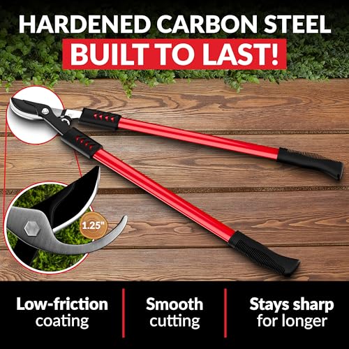 TABOR TOOLS GL16A Bypass Lopper, Classic 28 Inch Tree Trimmer & Branch Cutter, Heavy Duty Tree Pruner with 1 1/4 Inch Clean Cut Capacity, Chops Branches with Ease - style: GL16A Classic 28 Inch Bypass Lopper