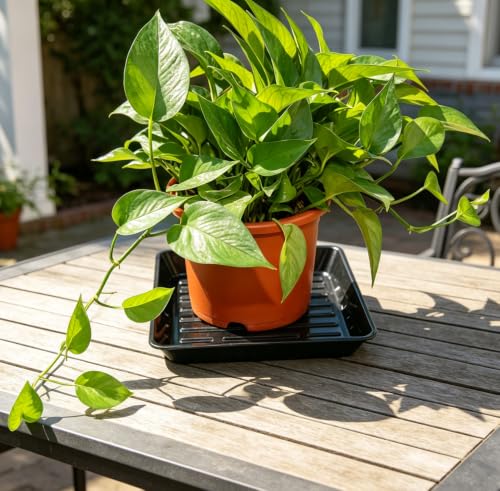 2 Pack 12" Square Plant Water Catcher Tray, Sturdy Plastic Saucer for Windowsill & Potted Plants, Black - color: Black, size: 12" - 2 Pack