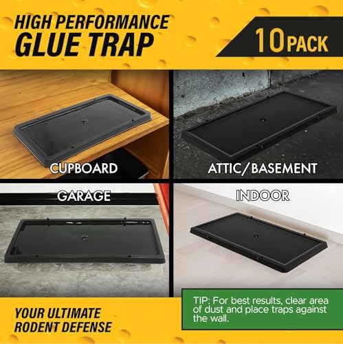 TRATPER Glue Traps for Mice,Rat,Mouse,Snake,Lizard,Insect. 10 Pack. Extra Strength,Pre-Baited Adhesive.Heavy Duty Plastic Tray.Non-Toxic,Chemical-Free Pest Control for Home. 10Pack - size: 10 Pack