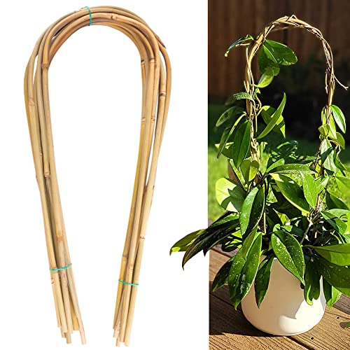 Avalution 16" Natural Bamboo Plants Trellis U-Hoop,Bamboo Gaeden Trellis U-Shape for Climbing Plant Support-20PCS - color: U-Hoop, size: 20 PACK-16 inches