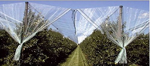 Anti-Aging Orchard Anti-Hail Netting Vegetable Garden Hail Protect Netting,19.5x75ft - size: 19.5x75ft