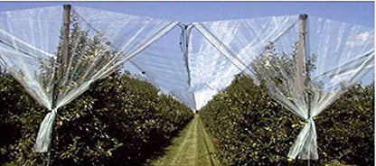 Anti-Aging Orchard Anti-Hail Netting Vegetable Garden Hail Protect Netting,19.5x75ft - size: 19.5x75ft