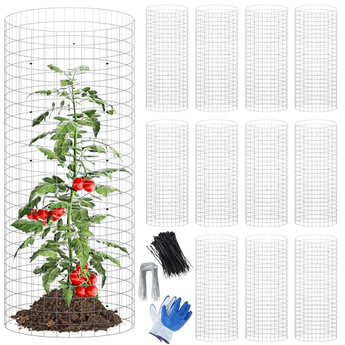 winemana 12 Set Garden Plant Protector Cage,36 Pcs 24x12 IN Metal Wire Protectors for Plants, Protection Cages with Stakes Nylon Ties Animals Barrier to Keep Rabbit Chicken Away from Flower Vegetables - color: Silver, size: 24 IN x12 IN
