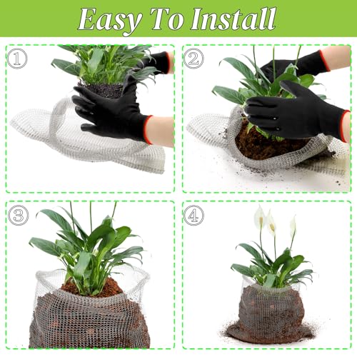 Noamus 8 Pack Plant Root Guard Basket, 5 Gallon Gopher Mole Vole Mesh, Reusable Stainless Steel Plant Speed Wire, Heavy Duty Protector Animal Cages for Garden Trees Bulbs Flowers Vegetables Protection - size: 5 Gallon