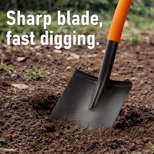Shovel for Digging, Heavy Duty Garden Shovel with Ergonomic D-Handle, Small Shovel for Planting, 32 Inches