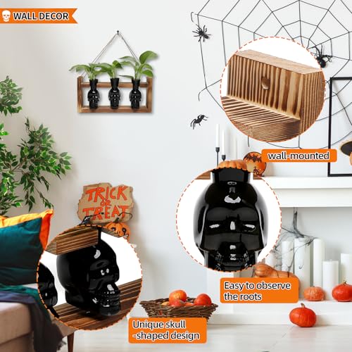 Plant Terrarium Propagation Stations Skull Planter Vase Skulls Decor - color: Black