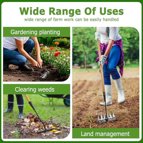 Gardenia Iron Weeding Rake with Long Wooden Handle, No Frequent Tightening