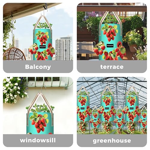 3 Pack 10 Gallon Hanging Strawberry Planter Bags for Tomatoes - size: 10 Gallon