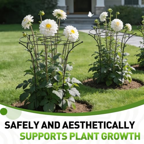1 Pack Metal Peony Plant Support Cage, 32.2 x 19.2 Inch with Wide Top Ring