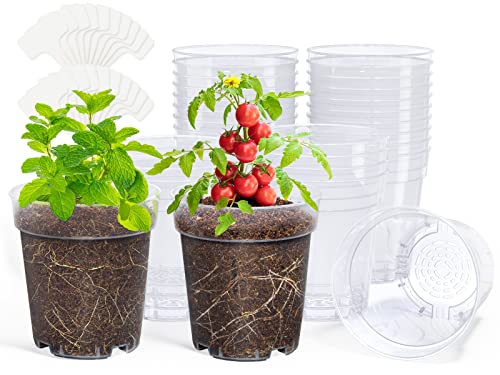 homenote 5 Inch Clear Nursery Pots with Drainage Holes for Plants (30 Pcs) - color: Clear, size: 5 Inch-30 Pack