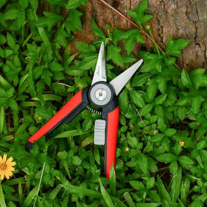LIVINGO Garden Pruning Shears Floral Scissors with Straight Blade