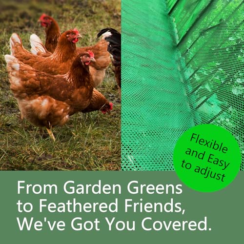 Pet Proof Barrier Net, Black Plastic Chicken Wire Mesh Fencing 15.7IN x 6.56FT, Balcony Cat Safety Net & Garden Snake Barrier, Heavy Duty Protection for Chicken Coops, Rabbit Hutches, Dog Kennels - color: Black, size: 15.7 IN * 6.56 FT