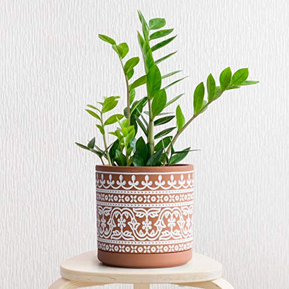 D'vine Dev 2-Pack Terracotta Pots, 4/6 in, Terra/White, 31-958-F-1 - color: Terracotta/White