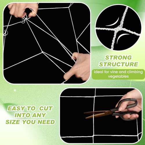Berlune 6.5 x 700 ft Trellis Netting Roll Heavy Duty Nylon Garden Trellis Netting with 6 Inch Mesh Soft Plant Support Net for Climbing Plants, Grape Racks, Growing Support Bean, Pea, Tomatoes - size: 6.5 x 700 ft