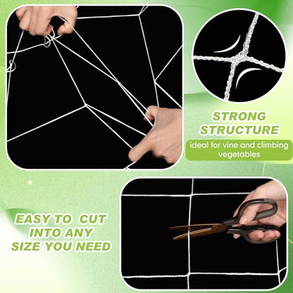 Berlune 6.5 x 700 ft Trellis Netting Roll Heavy Duty Nylon Garden Trellis Netting with 6 Inch Mesh Soft Plant Support Net for Climbing Plants, Grape Racks, Growing Support Bean, Pea, Tomatoes - size: 6.5 x 700 ft