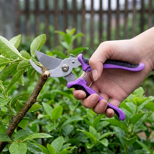 Lothee 9 Pcs Garden Pruning Shears Bulk, Gardening Shears&Scissors, Purple - color: Purple
