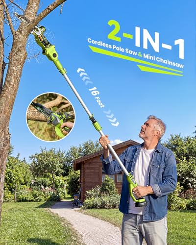 10 Inch Electric Pole Saws for Tree Trimming, 1000W Brushless Pole Saw and Mini Chainsaw 2 in 1, 2*4000mAh Battery, Lightweight Tree Saw with Extension Pole, 16Ft Max Reach Tree Trimmer Branch Cutter - color: Emerald Green