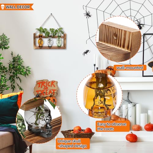 Plant Terrarium Propagation Stations Skull Planter Vase Skulls Decor - color: Color-04