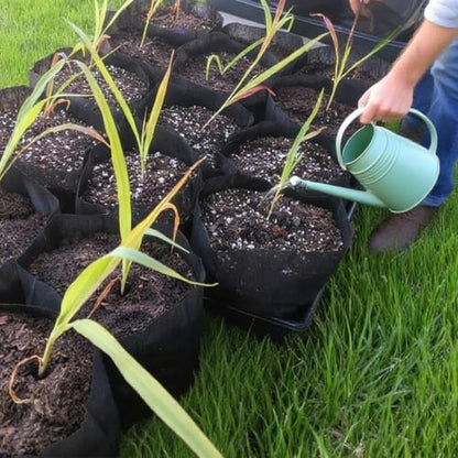 gardtree Plant Nursery Bags 5.5" * 6.3" 400PCS, Non-Woven Plant Grow Bags Fabric Seedling Starter Bags for Vegetable Flower Fruit Saplings Tree, Home Garden Supply - color: Black, size: 5.5"x6.3"/400PCS