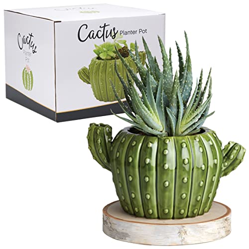 Streamline Imagined Ceramic Cactus Flower Planter Pot - color: Cactus