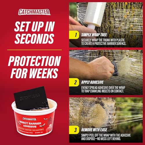 Catchmaster Tree Banding Insect Barrier 6Pk, 15oz Pails, Lanternfly & Ant Traps, Outdoor Adhesive Crawling Insect Trap to Protect Trees, Fruit & Plants - size: 6 Tubs