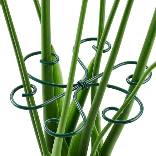 6PCS Monstera Plant Support, 4.1IN Green Metal Plant Stem Support Stakes, Adjustable Indoor Outdoor Potted Climbing Plant Stakes, Monstera Stabilizer Supports - color: Green
