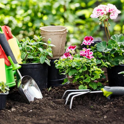 1 Gallon Pots for Plants, 10 Pack Thicken Durable Plastic Nursery Pots - color: Green