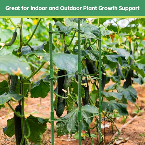 Riare 6 Pack 4 FT Tomato Cages for Garden, Heavy Duty Tomato Trellis - color: 6Pack, size: 48Inches