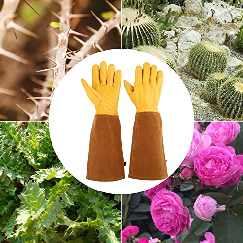 Rose Pruning Gloves for Women/Men，Long gardening Gloves Roses/Gardening/Logging/Farm/Cactus - size: Small