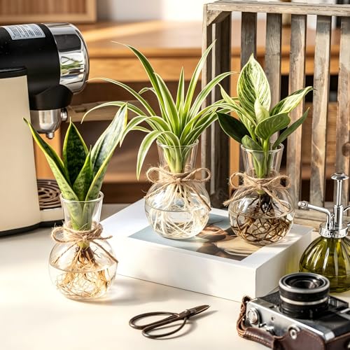 10 Pack Glass Plant Propagation Stations, Plant Terrarium Bulb Glass Propagation Vases with Hemp Rope, Clear Hydroponics Jars Gardening Gifts for Home Office Desk Decoration