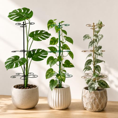 24 Inch Plant Stem Support Stakes for Monstera & Climbing Plants - color: Gold