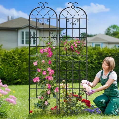 4-Pack 87" x 20" Butterfly Arch Black Metal Garden Trellises - color: 4 Pack 87"- Butterfly Black