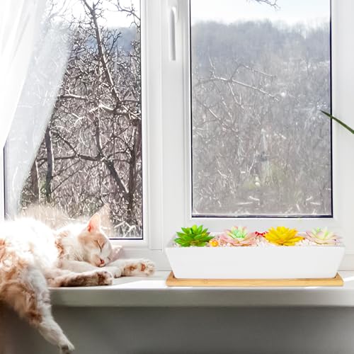 Succulent Pots, 12.1'' Ceramic Pots for Indoor Plant, Window Sill Planter - color: White