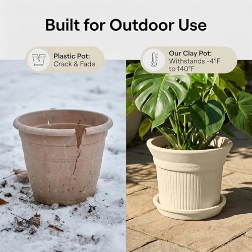 White Terracotta Pots 2 Pack 6 & 8 Inch Ceramic Planters