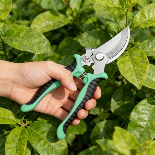 4 Pack Garden Pruning Shears, Stainless Steel Garden Shears, Gardening Shear, Garden Scissors, Clippers, Pruning Snips Garden Tools for Women Men - color: Color2