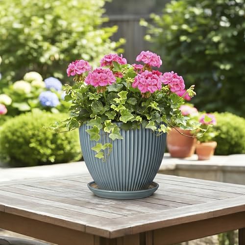 Ceramic Planter, 8 Inch Plant Pot Indoor with Saucer, Glaze Blue - color: Glaze Blue, size: 8 Inch