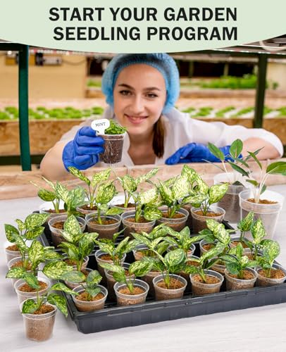 homenote 3/4/5/6.7 Inch Clear PP Nursery Pots with Drainage Holes (36 Pcs) - color: Transparency-no Lid, size: 3/4/5/6.7 Inch-36 Pack