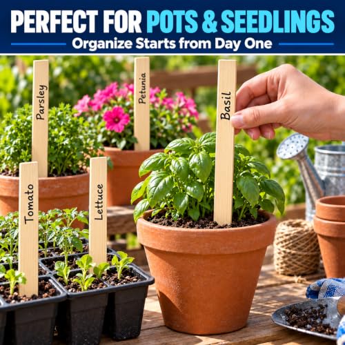 25 Pack Wooden Garden Stakes, 12" Long x 3/4" Wide, Made in USA Pine Plant Markers, Chisel Point Yard Stakes for Gardening, Row Labels, Signs & Crafts - size: 12" Long (25 Pack)