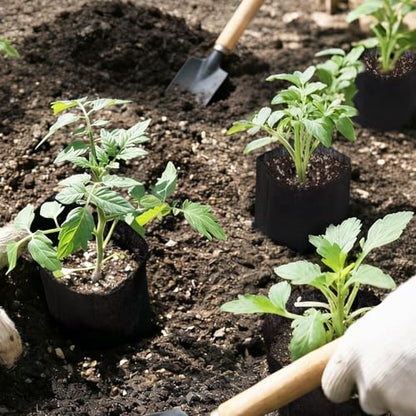 50PCS Deep Nursery Grow Bags, Black Plant Grow Bag for Starting Rooted Plants Vegetable, Flower, Seedling Tree Seedling Pots, 13.5" H Before Loading Soil - size: 13.5''H