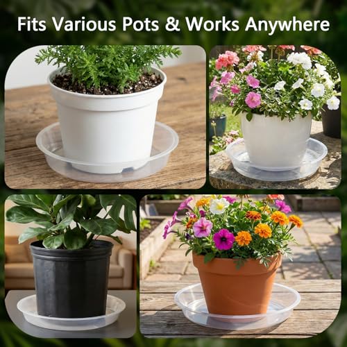 6Pack Plant Saucer, 3 5 7 9 11 13 15 17 19 21 in Plastic Plant Tray - size: 11 Inch