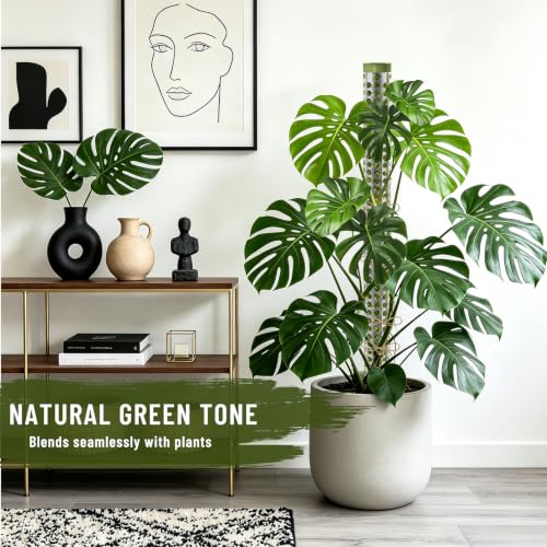 Moss Pole Monstera Plant Support 55 Inch, Stackable Sphagnum Moss Poles Sticks for Climbing Plants Indoor 4 Packs 17 Inch Plant Stakes for Garden Potted Plants, Pothos, Philodendron, Green
