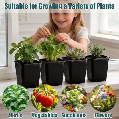 Nursery Pots 6 Inch 40 Pcs, Plastic Seed Starting Pot with Drainage Holes, Sturdy Seedling pots for Planting, Cuttings (Black) - color: Black, size: 6 Inch-40P