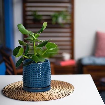 D'vine Dev Beaded Ceramic Pot with Saucer, 4 in, Midnight Blue, 27-C-Z-3 - color: Midnight Blue, size: 4.3 Inch