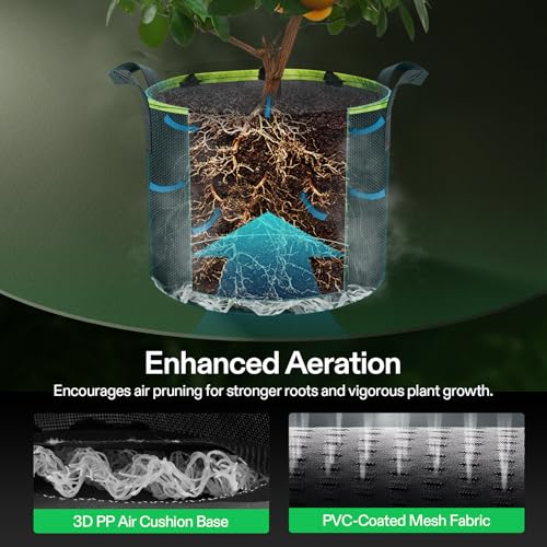 VIVOSUN 6-Pack 5-Gallon AeroBase Grow Bags, Durable Mesh Fabric Plant Container with Breathable Base and Sturdy Handles, Black - size: 5 Gallons (Pack of 2)