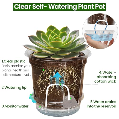 Bluepro Self Watering Pots for Indoor Plants, 5 Inch, 20-Pack - size: 5 Inch-20Pcs